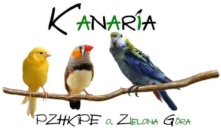 kanaria-zielonagora.pl