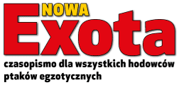 Logo Novaexota