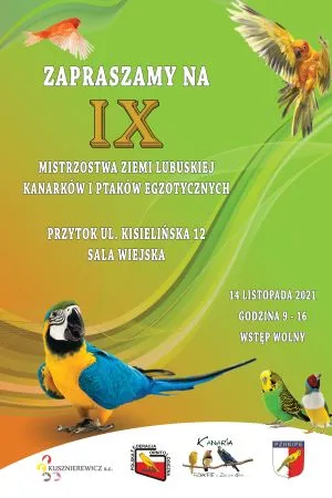 IX Mistrzostwa Ziemi Lubuskiej