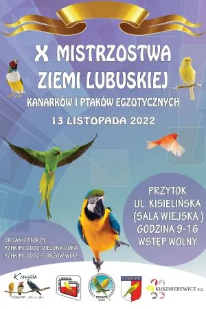 X Mistrzostwa Ziemi Lubuskiej