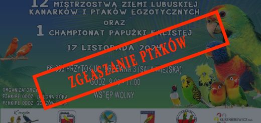 Zgłaszanie ptaków