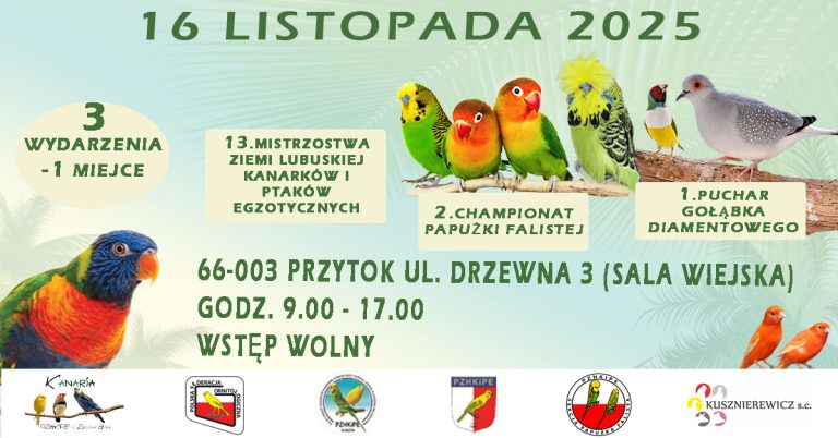 13 mistrzostwa Ziemi lubuskiej kanarków iptaków egzotycznych