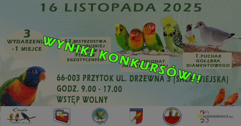 Wynik XIII Mistrzostw Ziemi Lubuskiej,  II Championatu papużki falistej, 1 Puchar gołąbka diamentowego